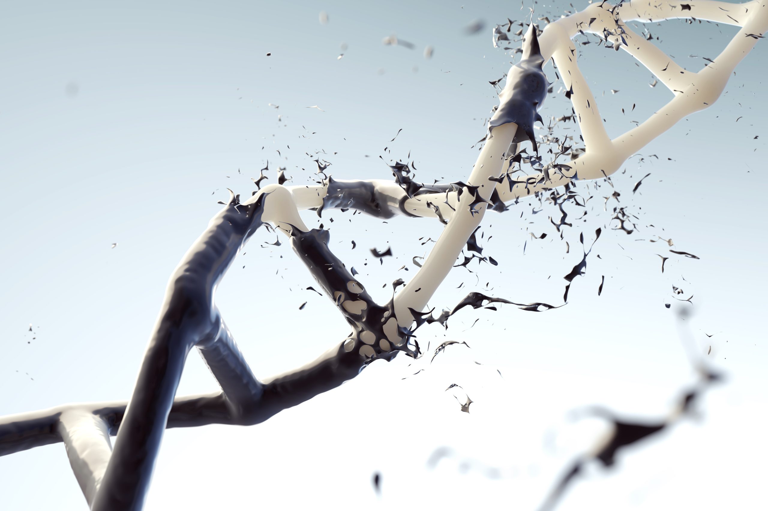 Damaged DNA being fixed. 
