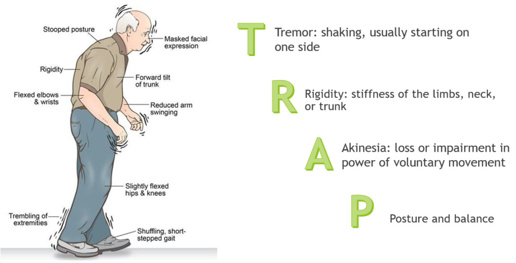 parkinsons disease